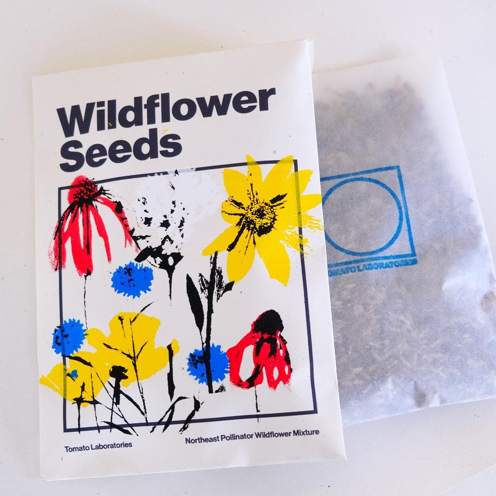 Wildflower Seeds – Northeast Pollinator Mix (2024 Season)