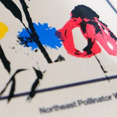 Wildflower Seeds – Northeast Pollinator Mix (2024 Season) - Image 4