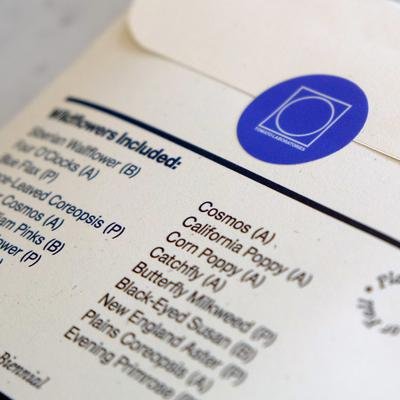 Wildflower Seeds – Northeast Pollinator Mix (2024 Season) - Image 7