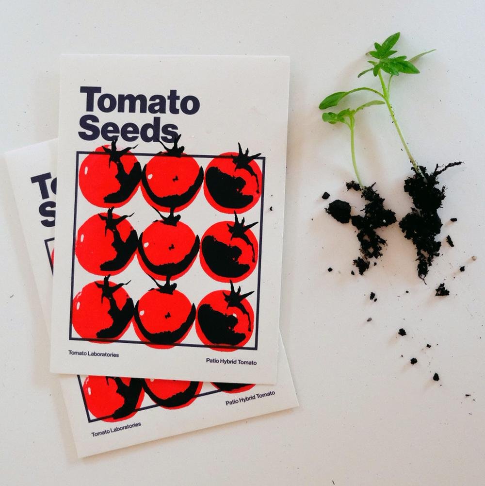 Tomato Seeds