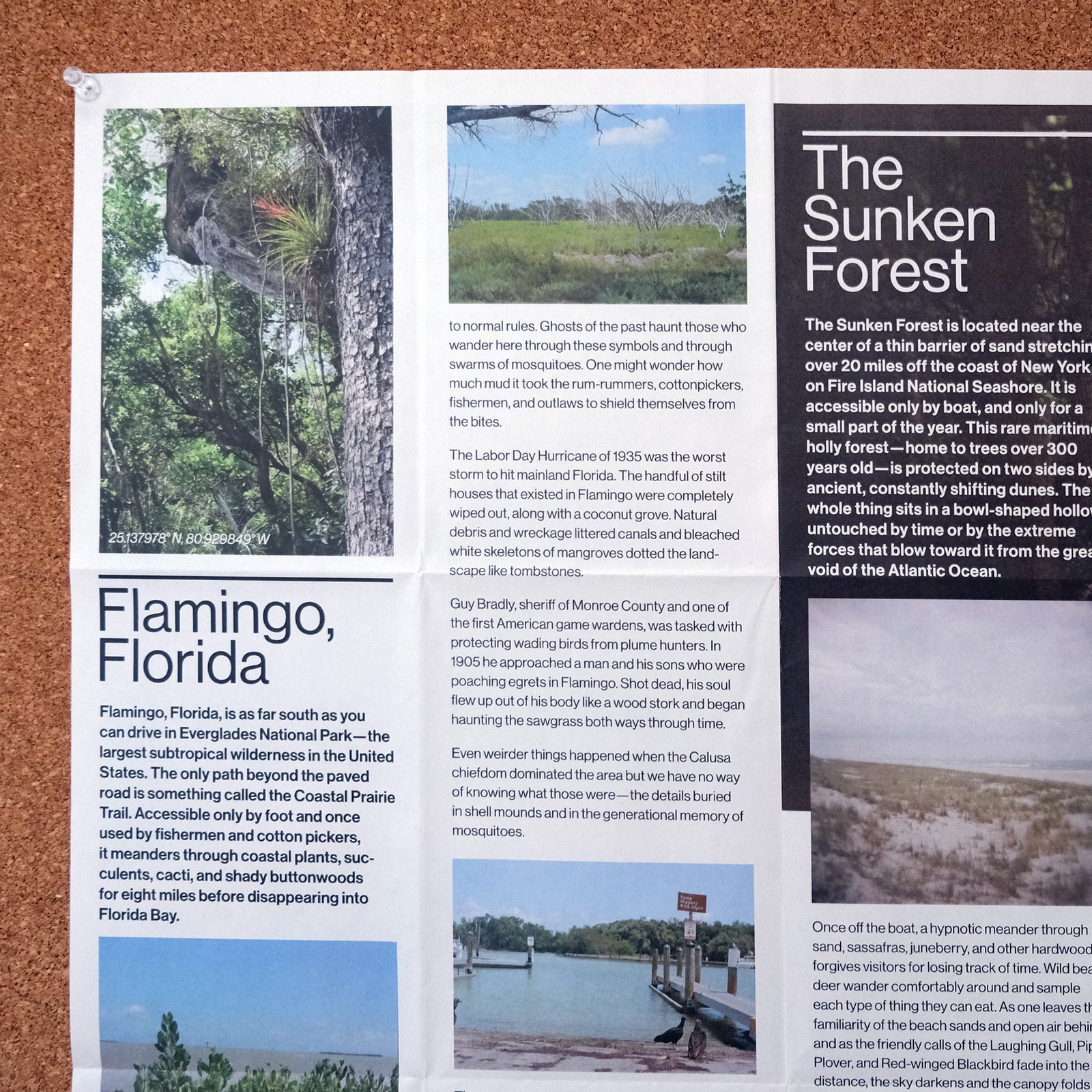 An editorial spread on a broadsheet newsprint poster is seen on a cork board