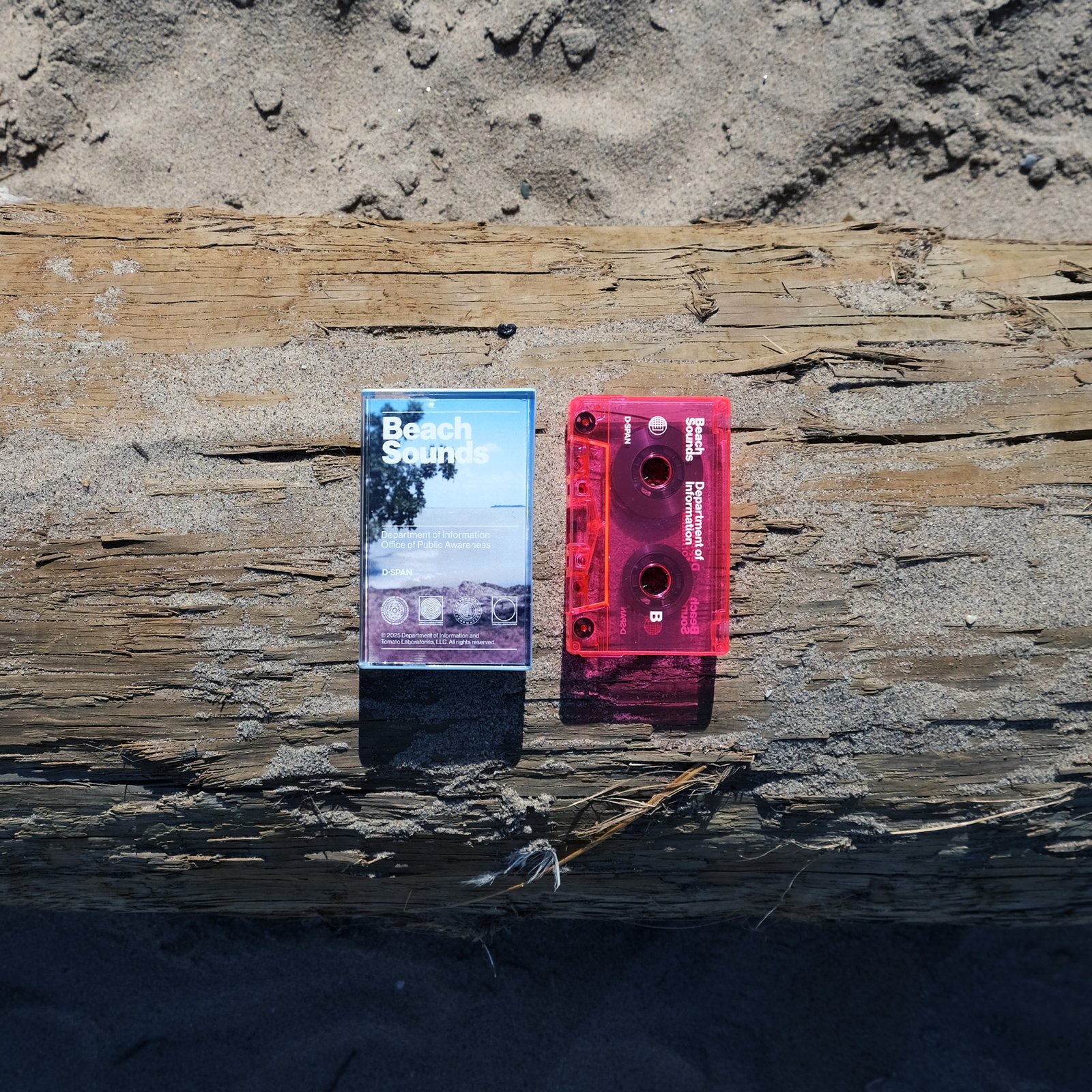 A fluorescent pink Beach Sounds cassette tape and a blue case sit on a sun bleached, washed up log on a beach