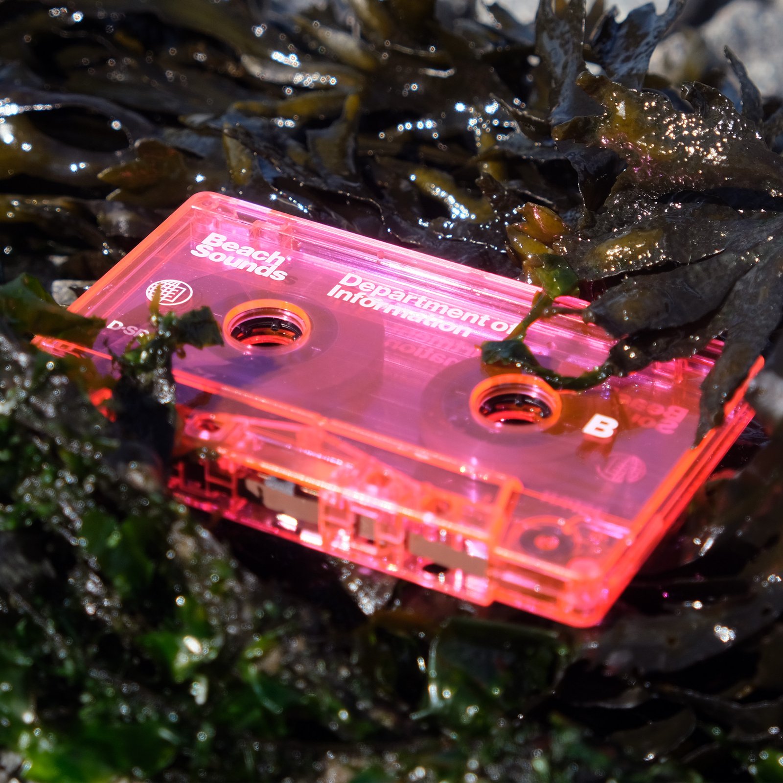 A fluorescent pink cassette tape is nestled in a bed of wet green seaweed