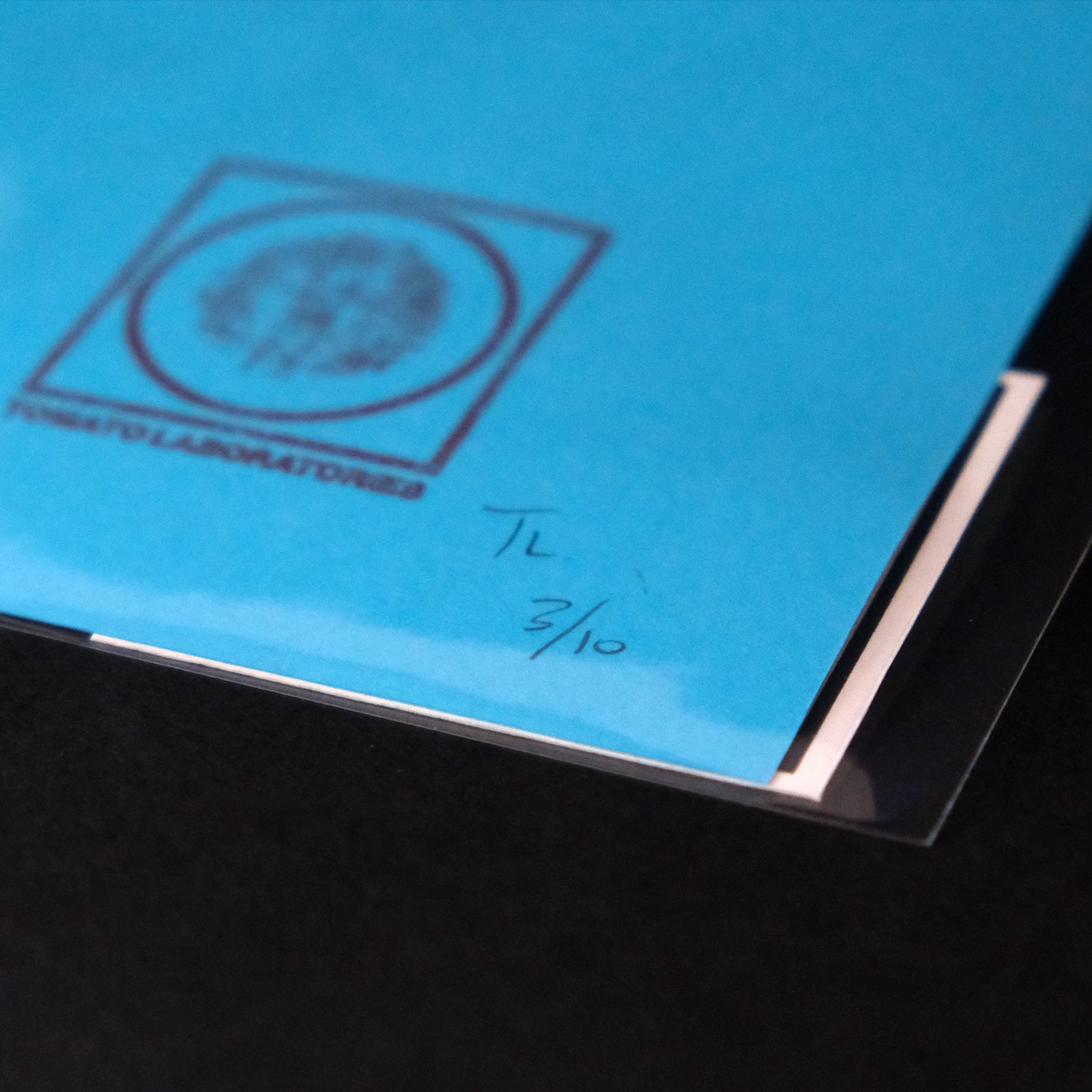 Pacific Northwest Pollinator Wildflower Seeds & Silkscreen Print - Image 7