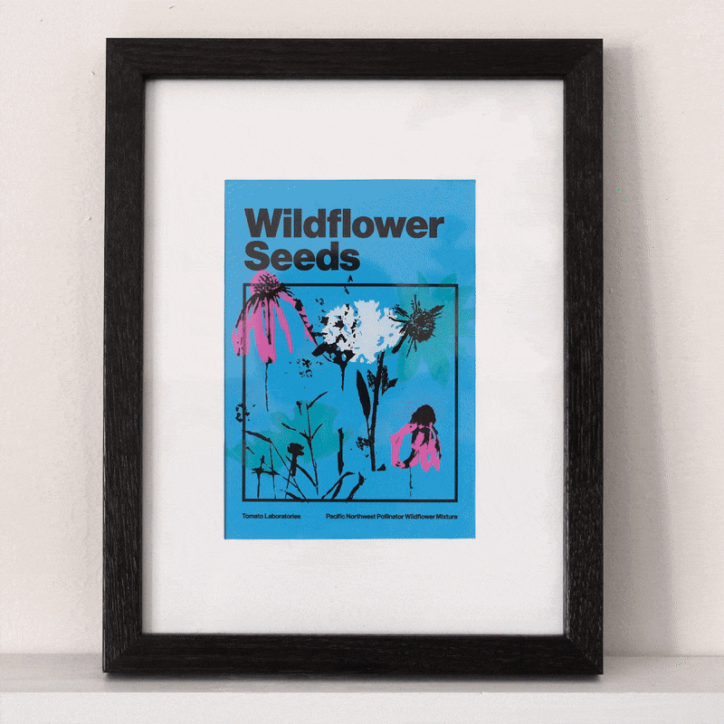 A framed silkscreen print of colorful pink and white flowers on blue paper fades to dark and the flowers glow bright neon green