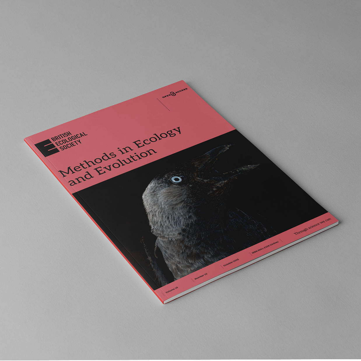 The cover of the journal Methods in Ecology and Evolution is shown on a gray background