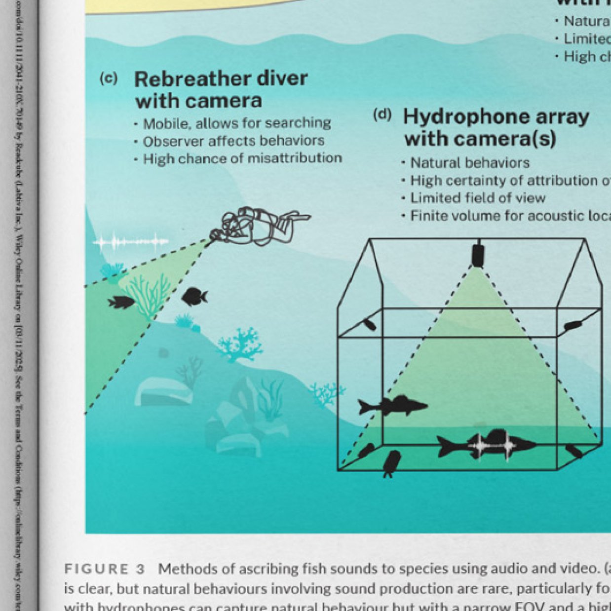 A close up view of a magazine spread shows a scientific illustration of an underwater scene with a diver recording fish sounds as well as another fish recording array - black helper text overlays the image which is blue and teal