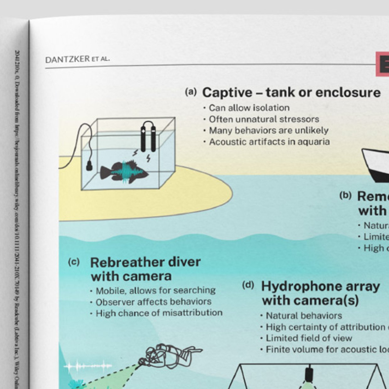 A close up view of a magazine spread shows a scientific illustration of an underwater scene with fish in an aquarium making sounds to be recorded as well as an underwater scene below - black helper text overlays the image which is blue and teal