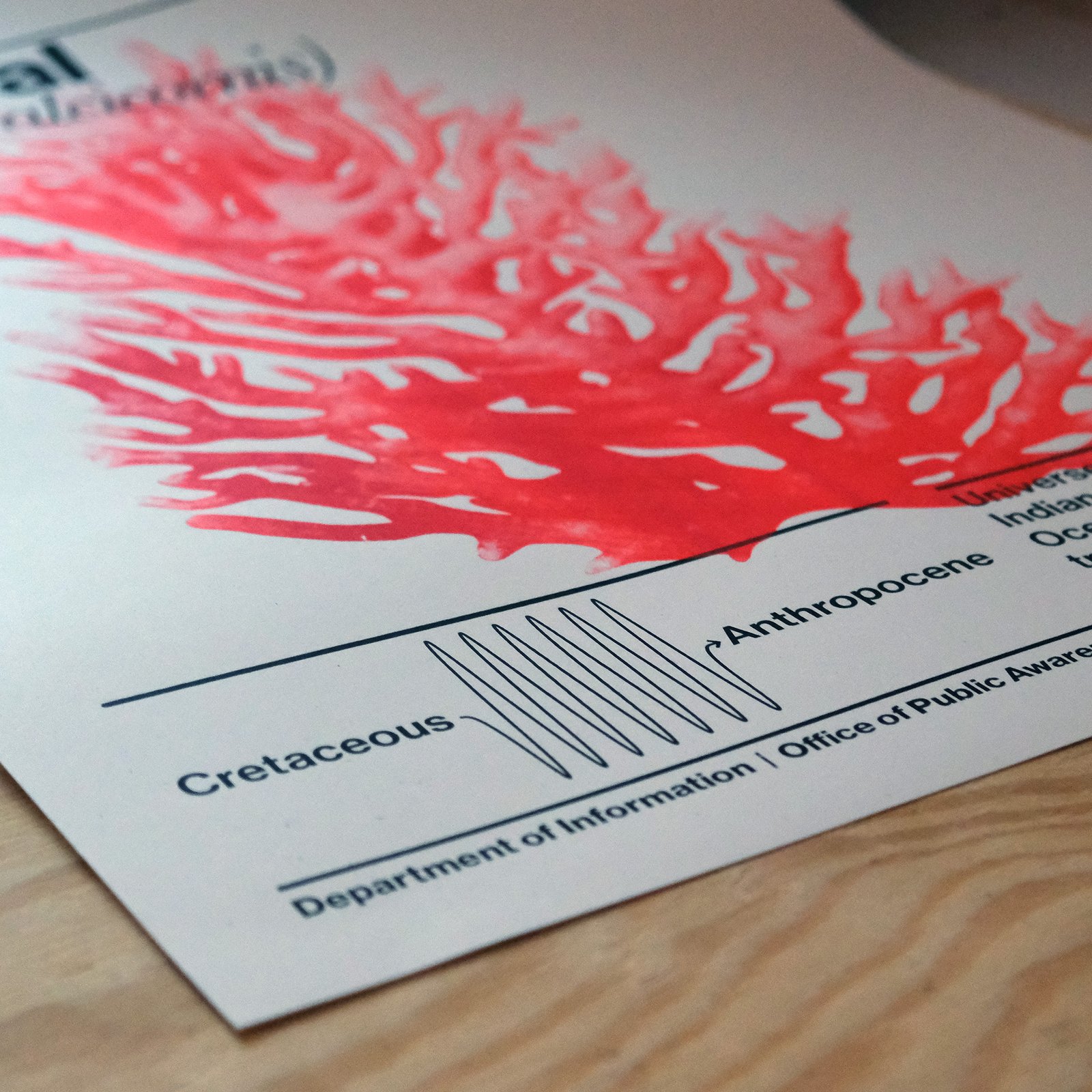 The top left quadrant of a silkscreen poster of a bright red fire coral specimen on white paper with black text is seen on a slab of plywood