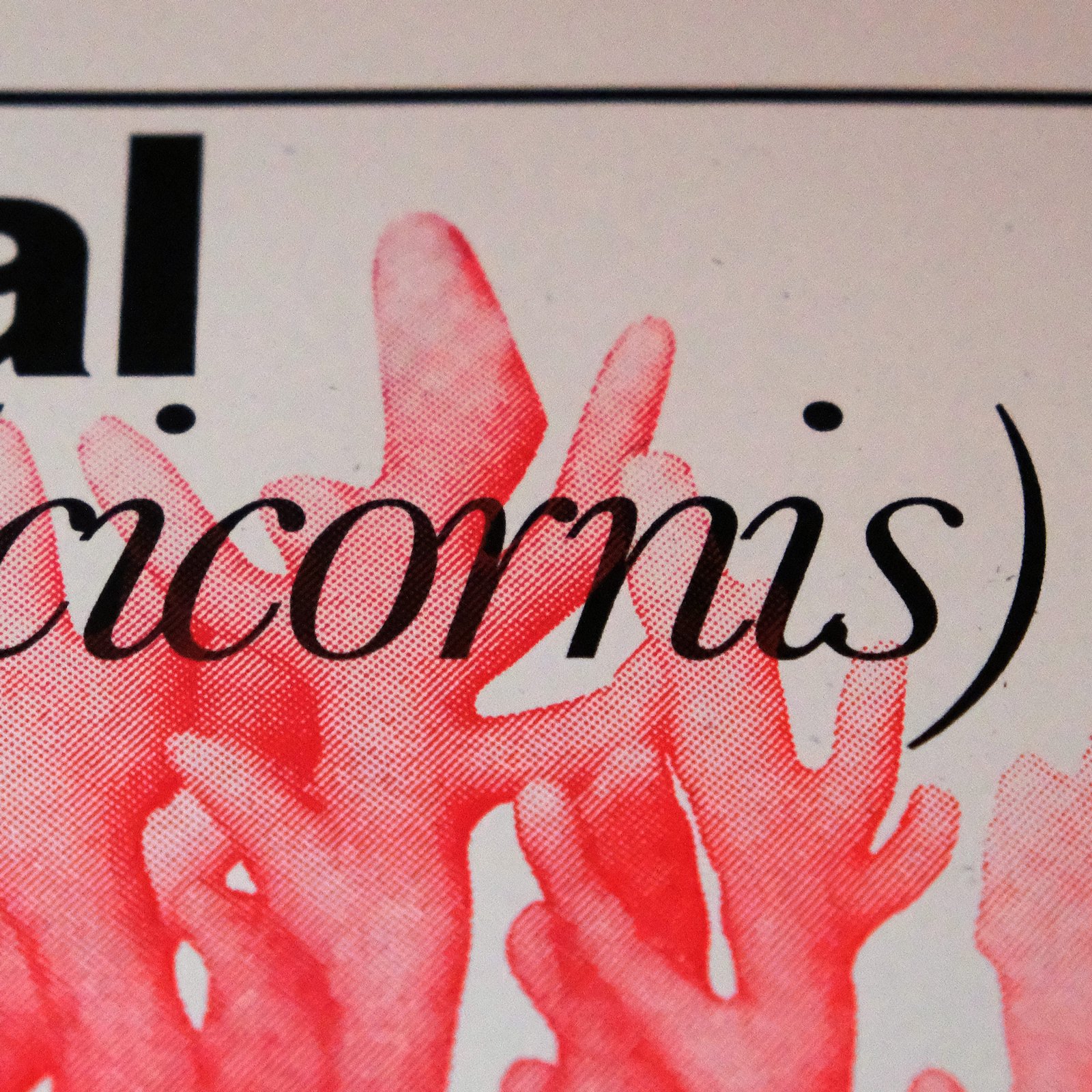 A close up shot of bright red fire coral silkscreen ink in halftone patter over cream paper with black text on top