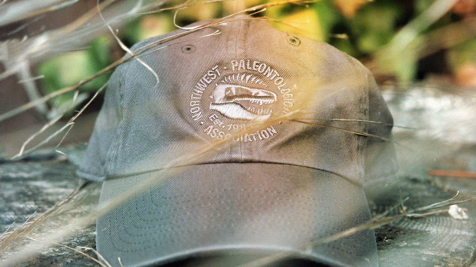 A photo of a hat sitting on a log with a blurry woodsy background, some lens flare over the top - the hat is gray and has a gray embroidered NPA logo, the words wrap around a t-rex skull surrounded by bones