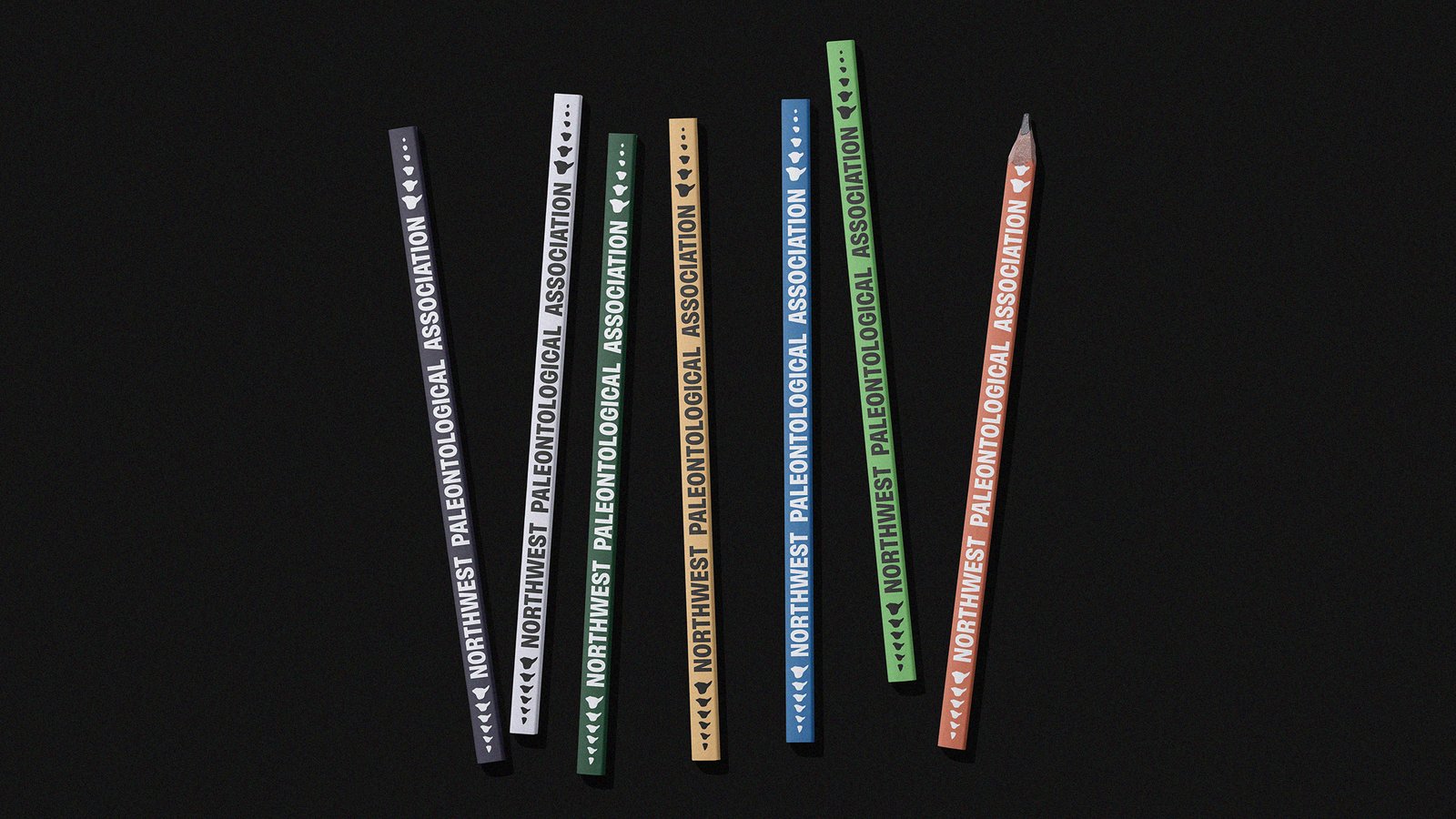 A bunch of colorful pencils on a black background that all say NORTHWEST PALEONTOLOGICAL ASSOCIATION and also have little dino bones on them