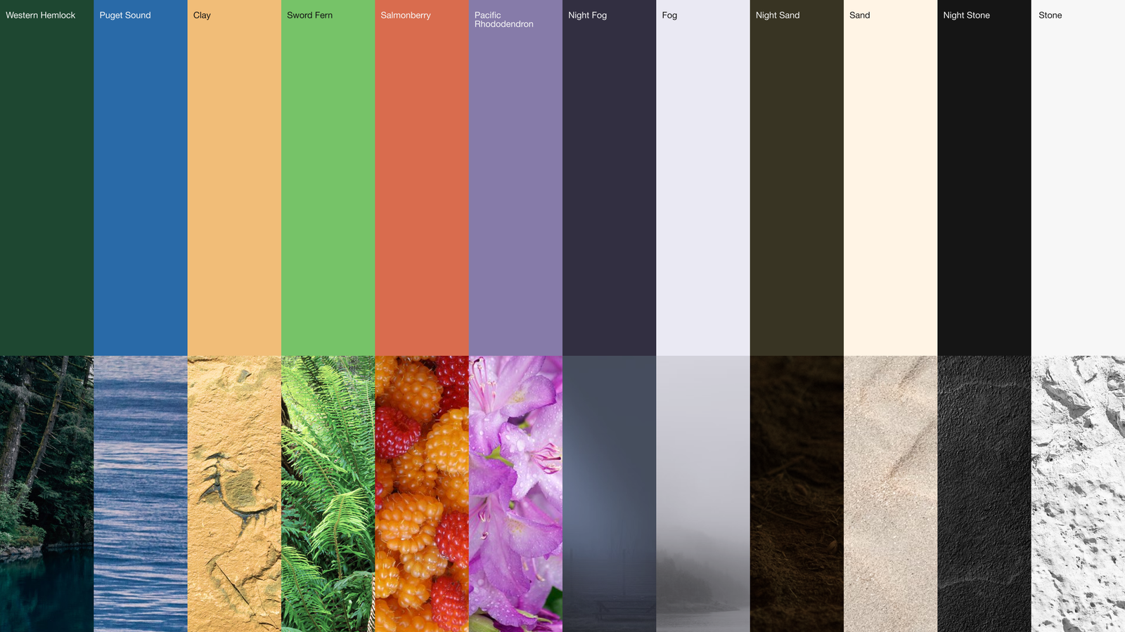 A vertical grid of brand colors is seen matched next to a photo of something that inspired it