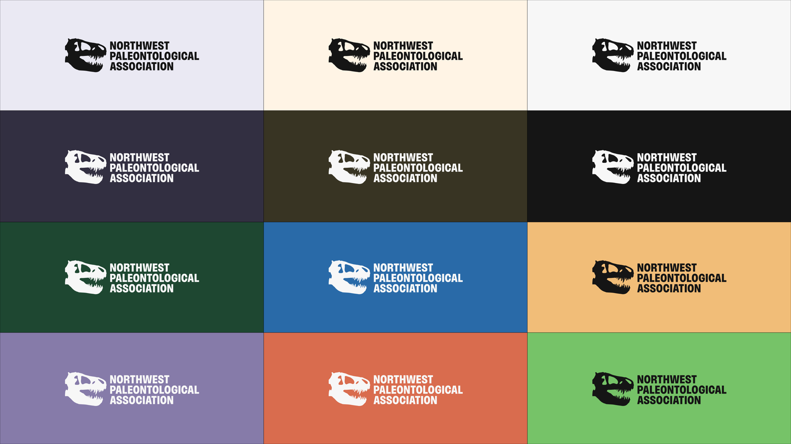 A 3 by 4 grid of colorful blocks with the NPA logo on top of each