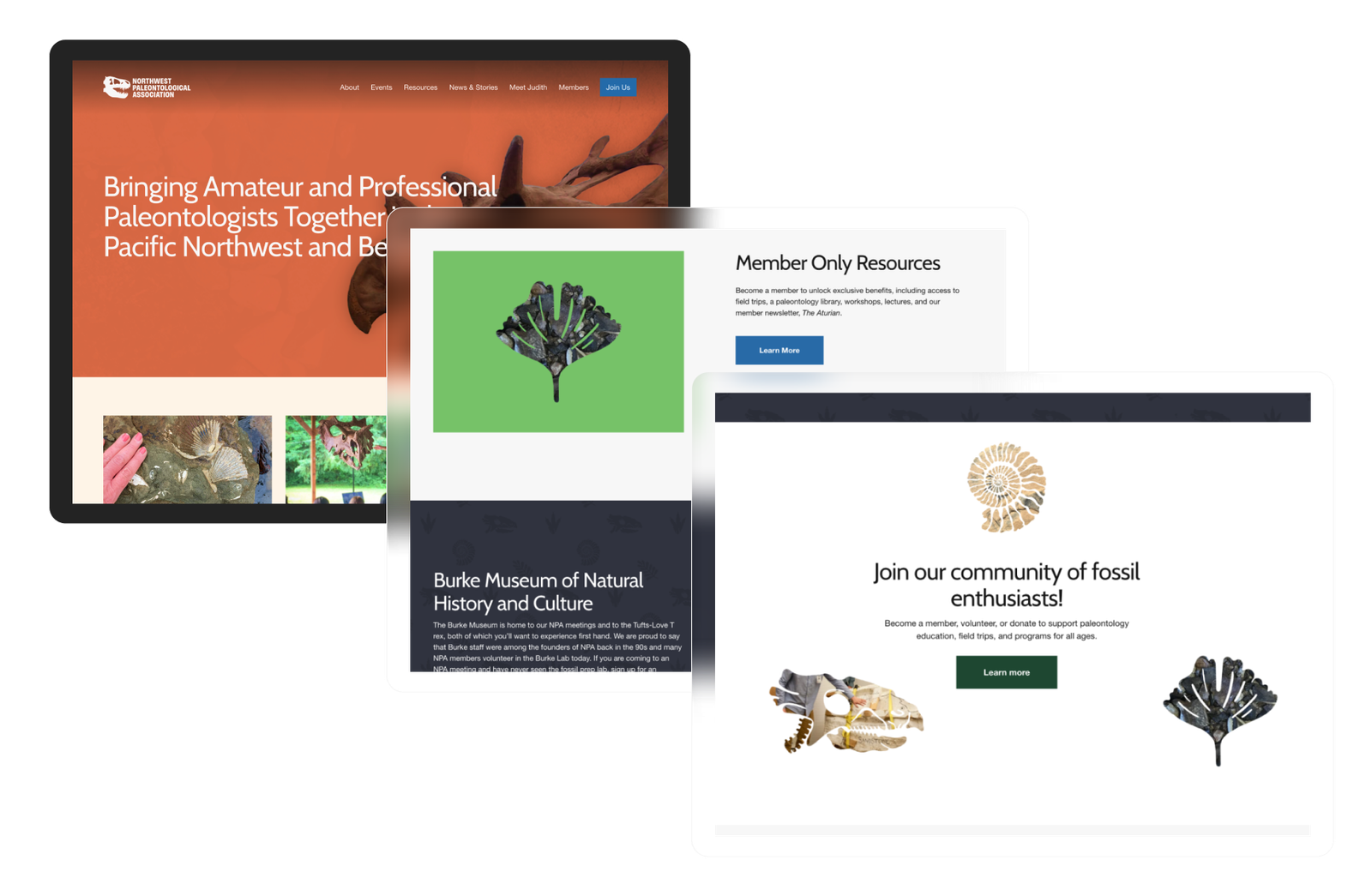 Three website mockup screens of the NPA website