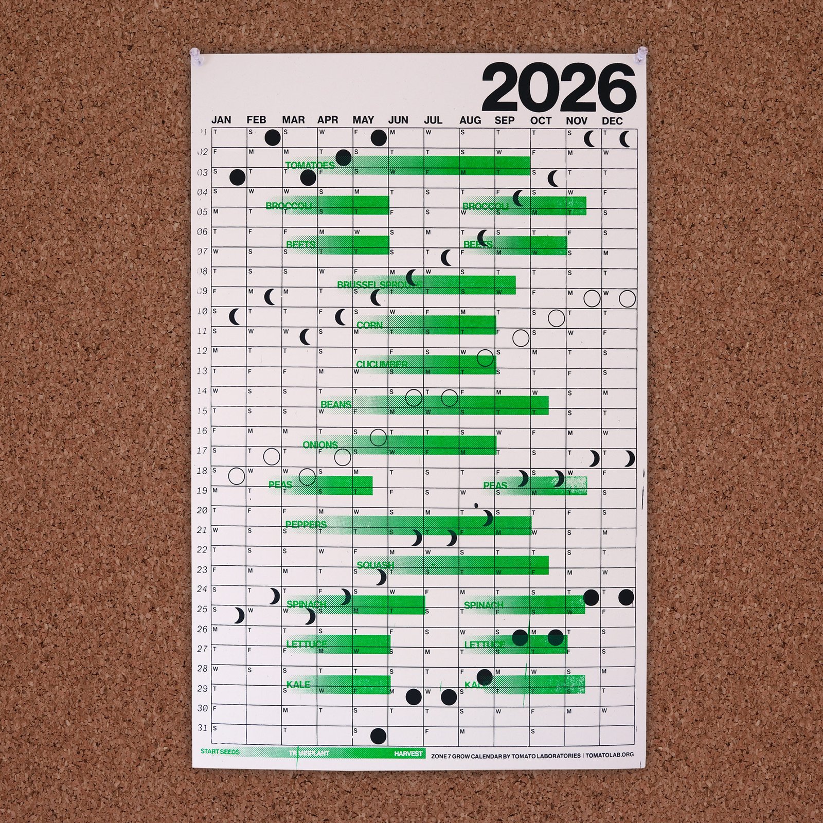 A calendar on a corkboard: White paper, clean minimal black ink in a big grid and bright green gradients overlaid that represent seed plant and harvest times